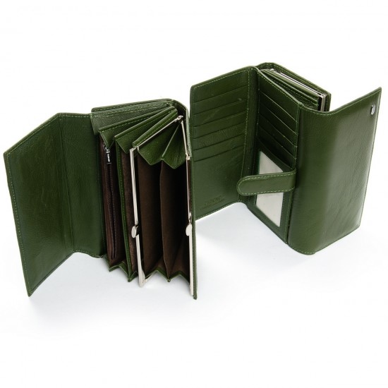 Женский кожаный кошелек dr.Bond Classic W46-2 зеленый