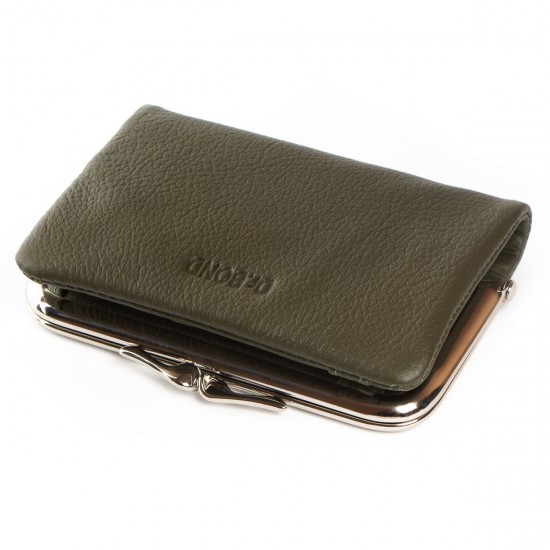Шкіряний жіночий гаманець dr.Bond Classic WN-23-14 зелений